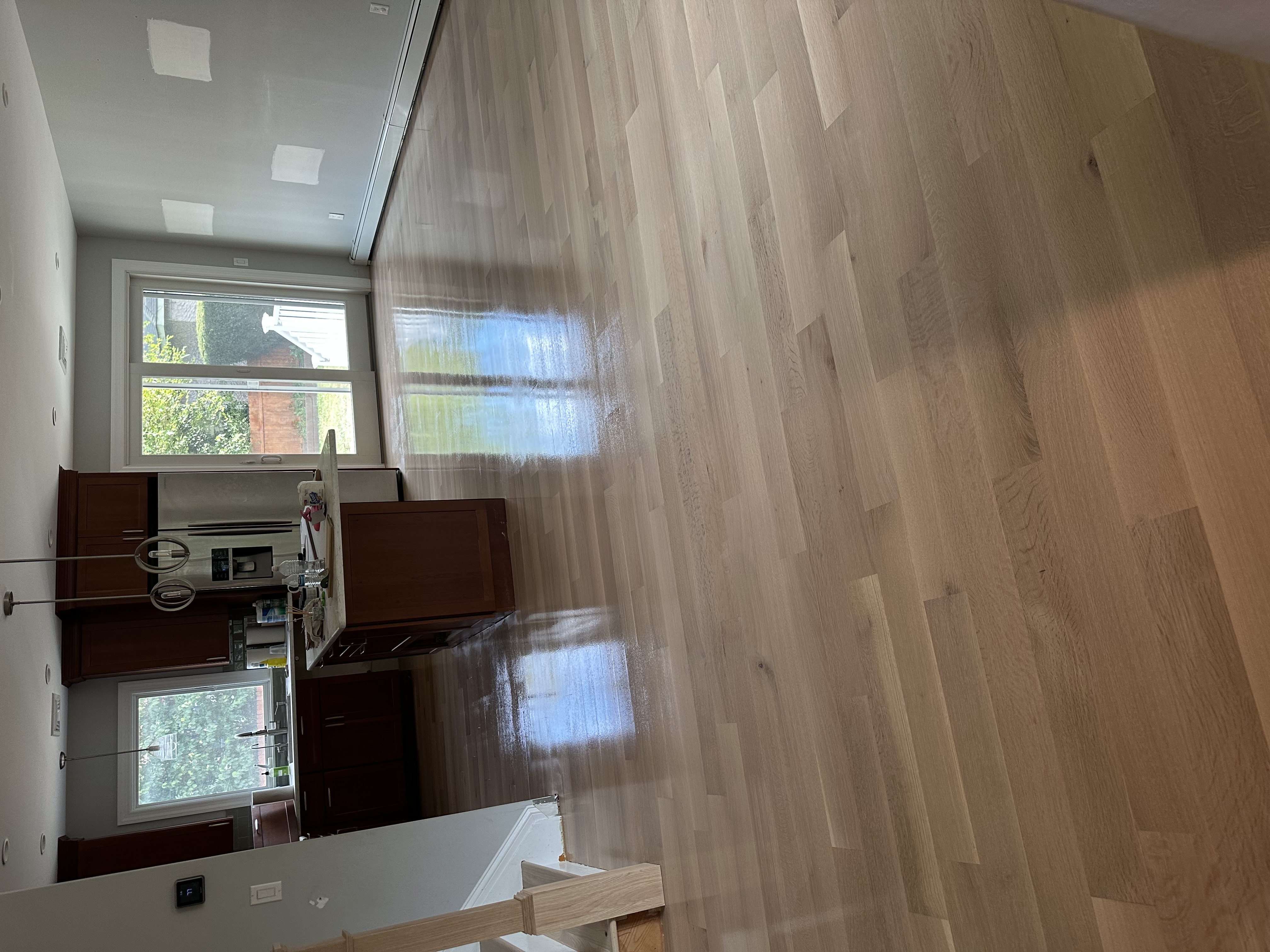 Professional Sanding Setup
